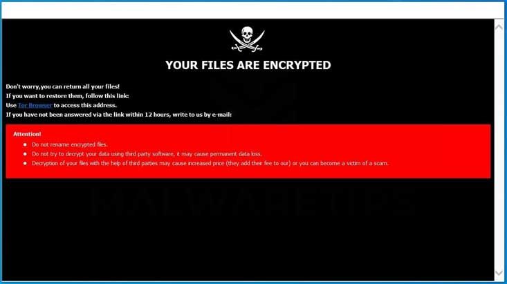 Ransomware virus